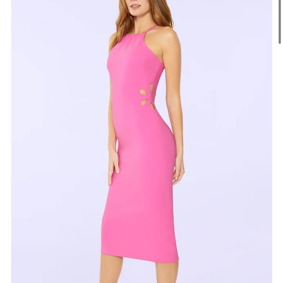 Likely Dresses & Skirts - Likely Becky Dress Size 2 Pink Barbie Dress